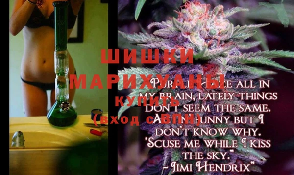 PSILOCYBIN Майский