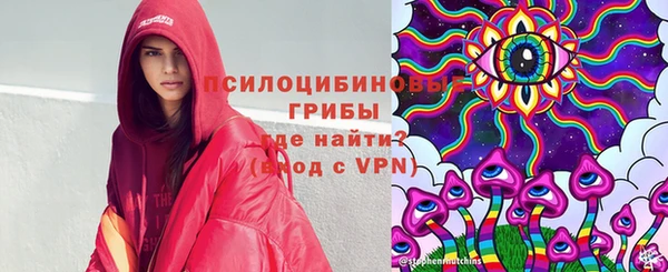трава Арсеньев