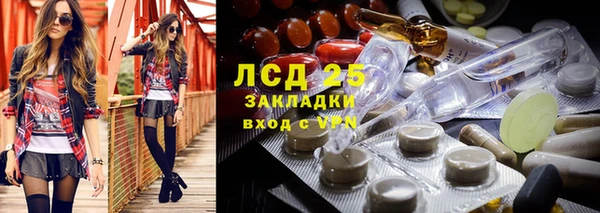 прущие грибы Алексеевка