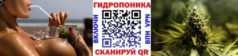 Бошки Шишки марихуана  где купить   Бабаево 